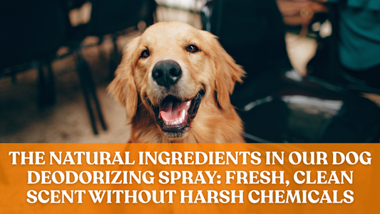 The Natural Ingredients in Our Dog Deodorizing Spray: Fresh, Clean Scent Without Harsh Chemicals