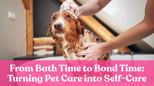 From Bath Time to Bond Time: Turning Pet Care into Self-Care