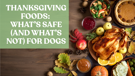 Thanksgiving Foods: What’s Safe (and What’s Not) for Dogs