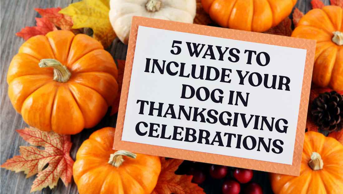 5 Ways to Include Your Dog in Thanksgiving Celebrations