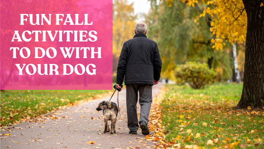 Fun Fall Activities to Do with Your Dog