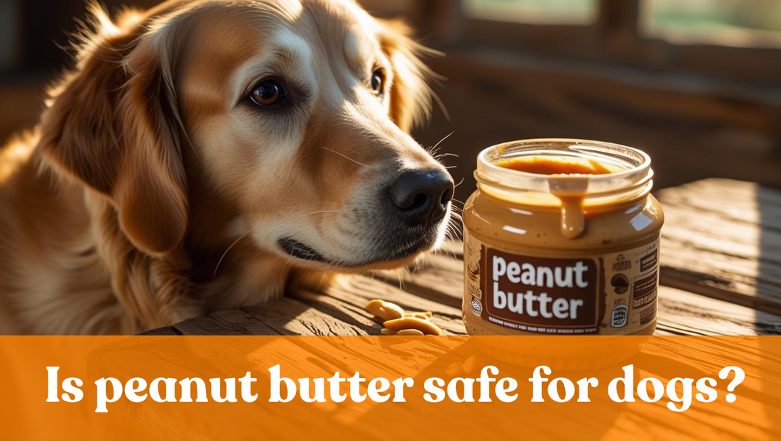 Is Peanut Butter Safe For Dogs?