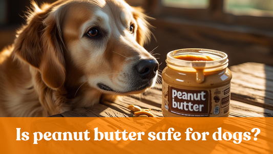 Is Peanut Butter Safe For Dogs?